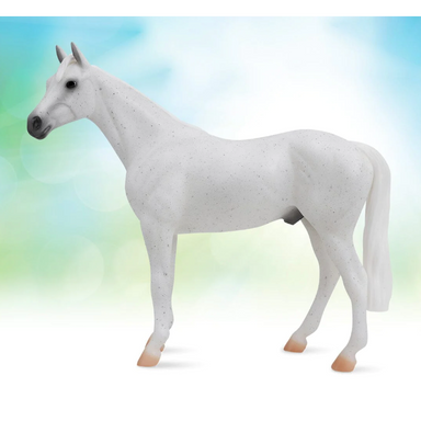 Fleabitten Grey Thoroughbred Classic Horse