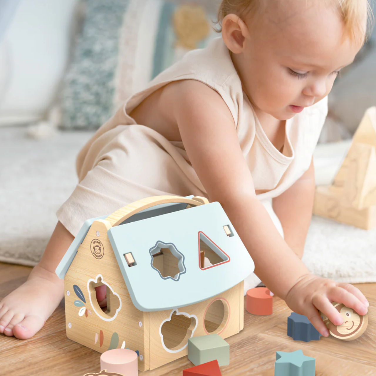 House Shape Sorter