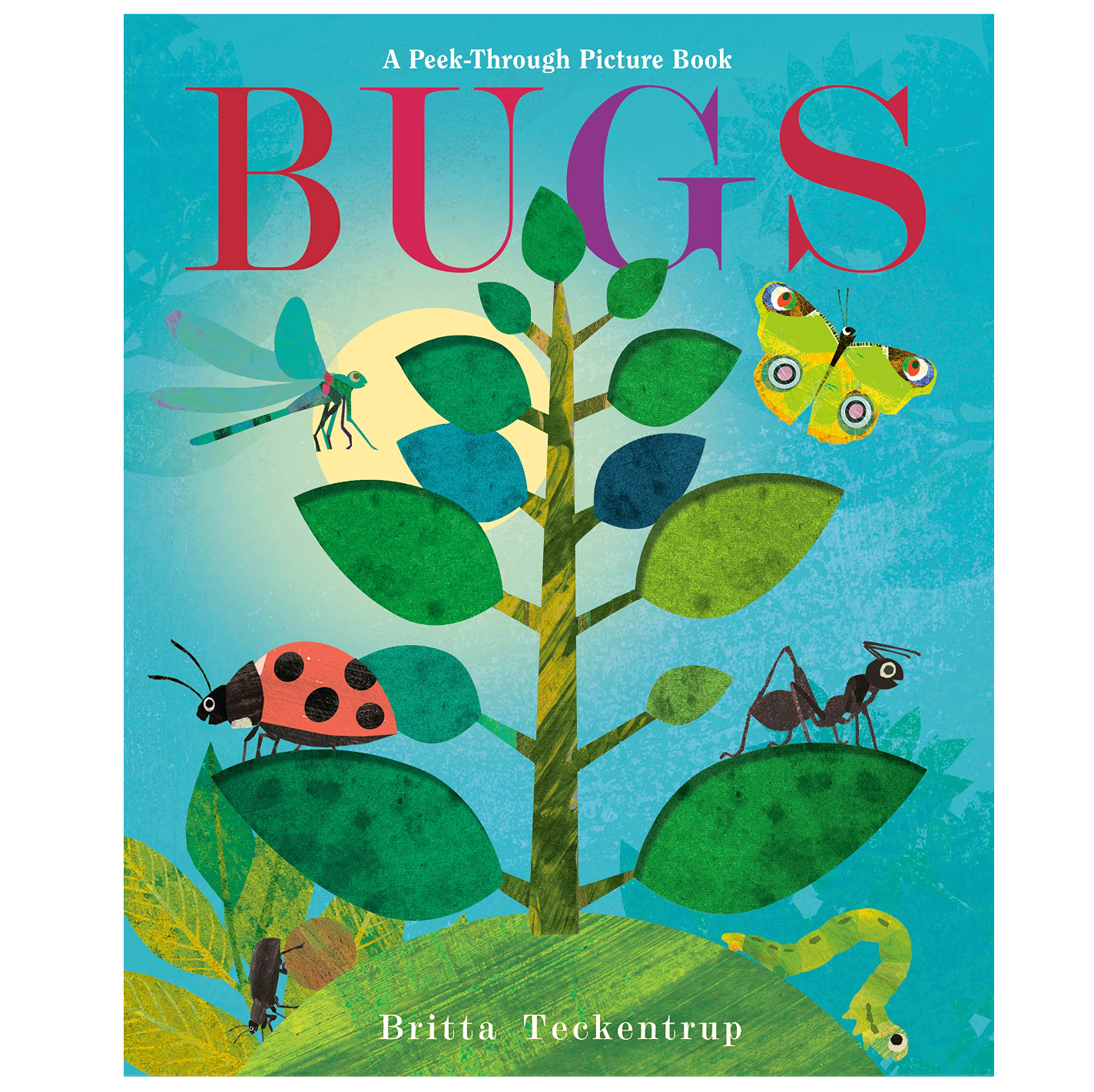 Bugs a Peek Through Picture Book