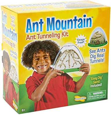 Ant Mountain Live Anthill