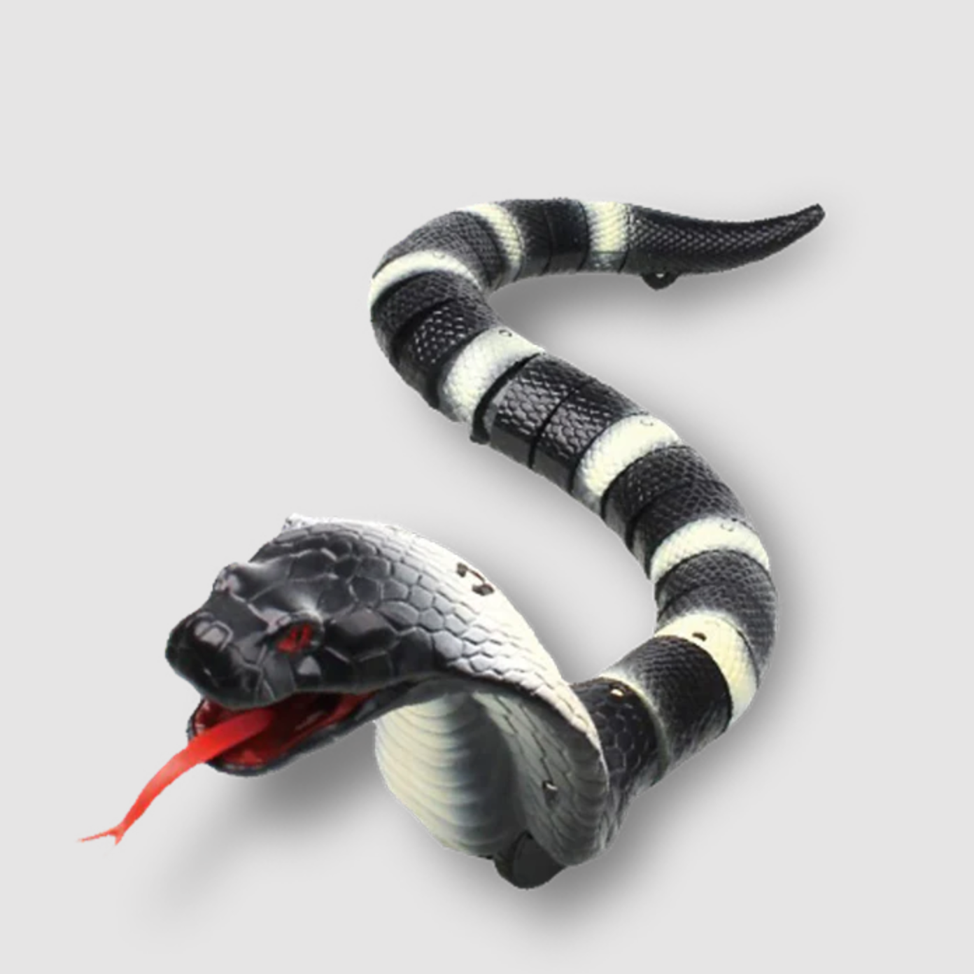 Slither Snake