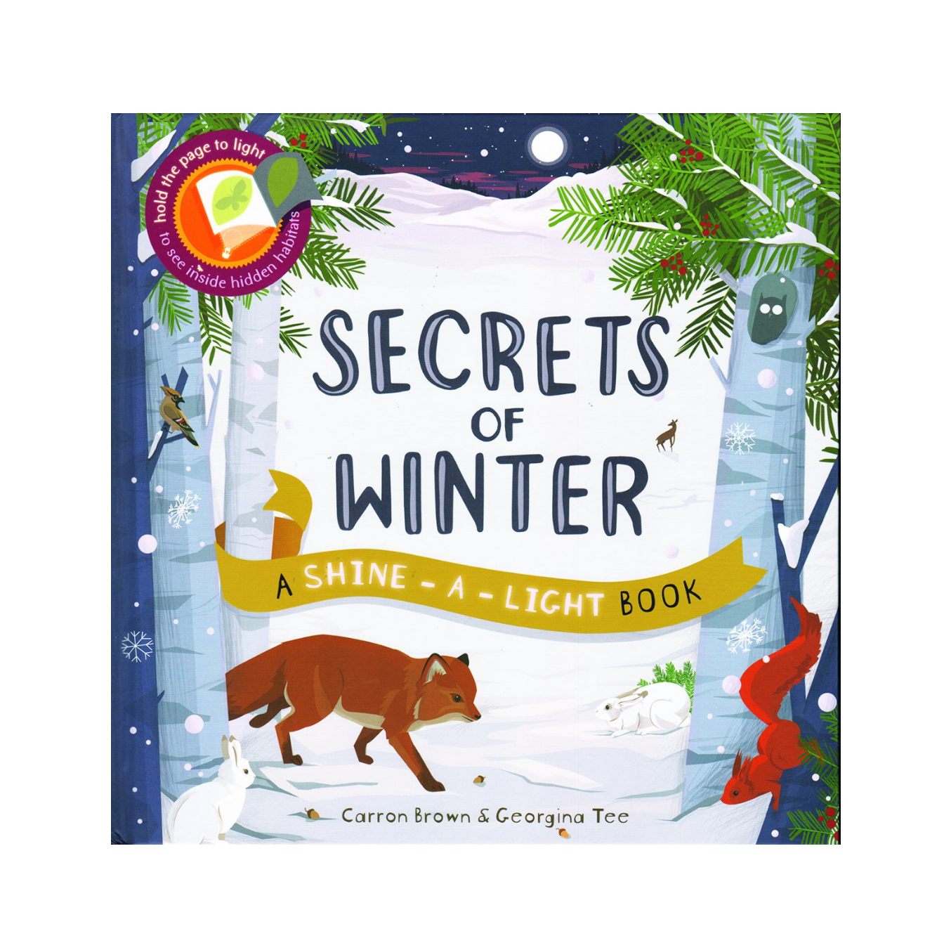 Shine a Light - Secrets of Winter
