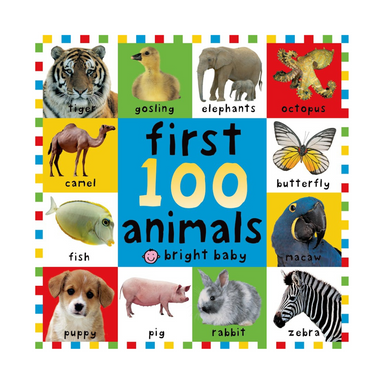 BIG BOARD FIRST 100 ANIMALS