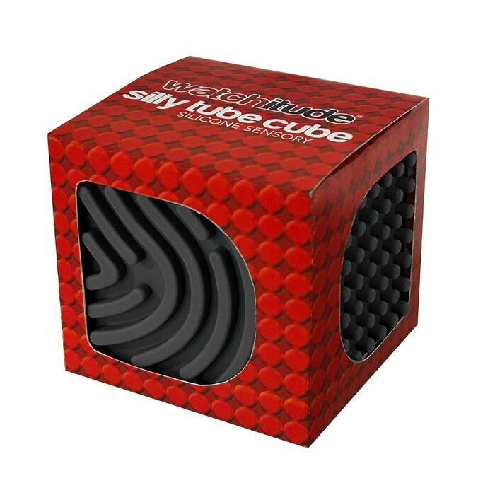 Silly Tube Cube Asst.