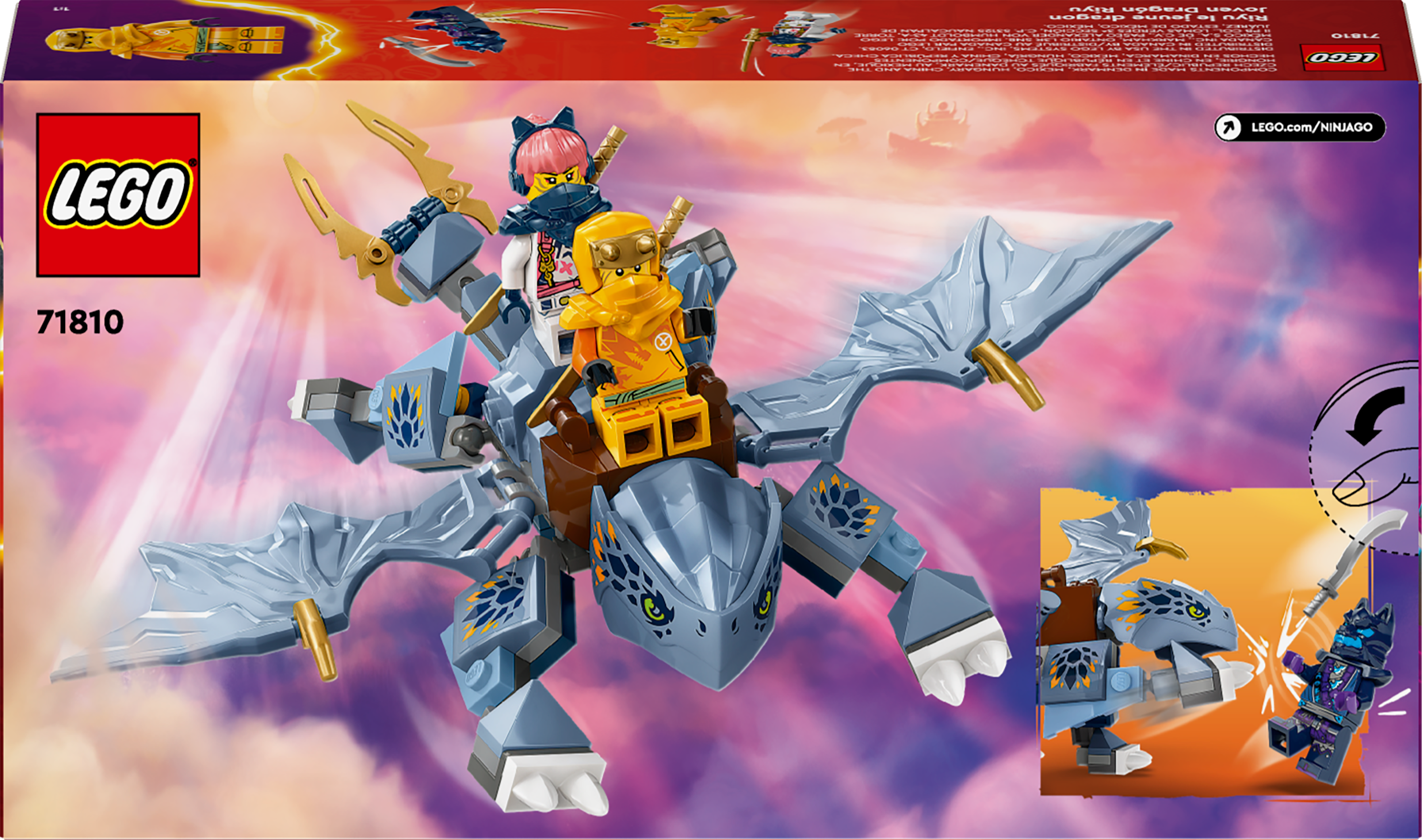 LEGO&reg; NINJAGO&reg; Young Dragon Riyu 71810