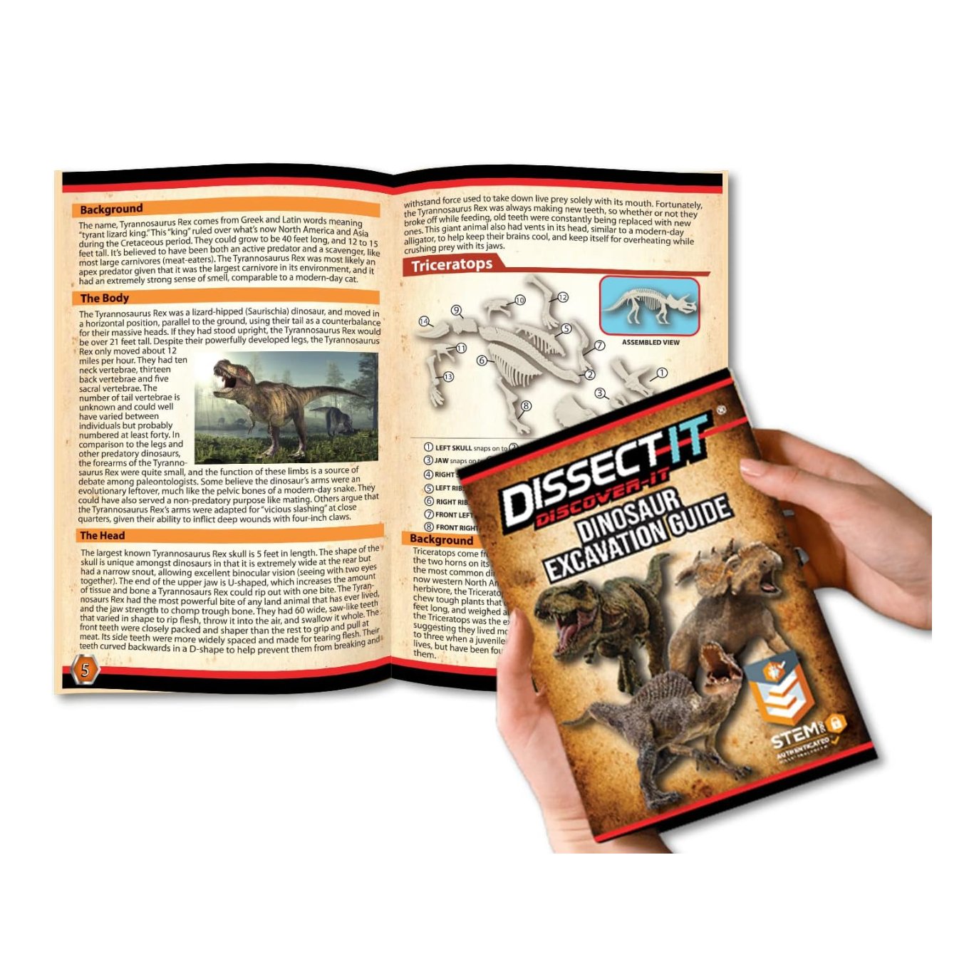 Dissect It: Dino Dig