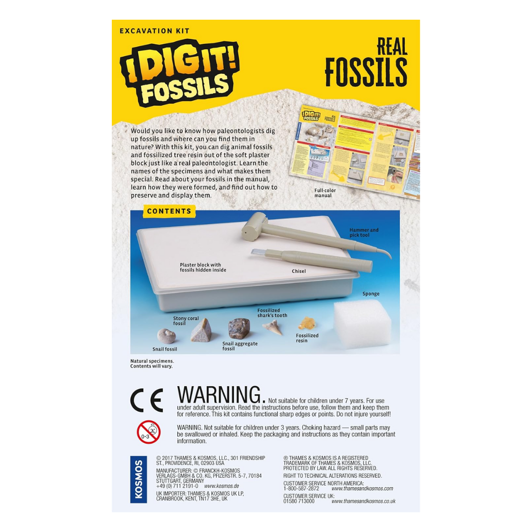 I Dig It! Fossils Real Fossils Excavation Kit