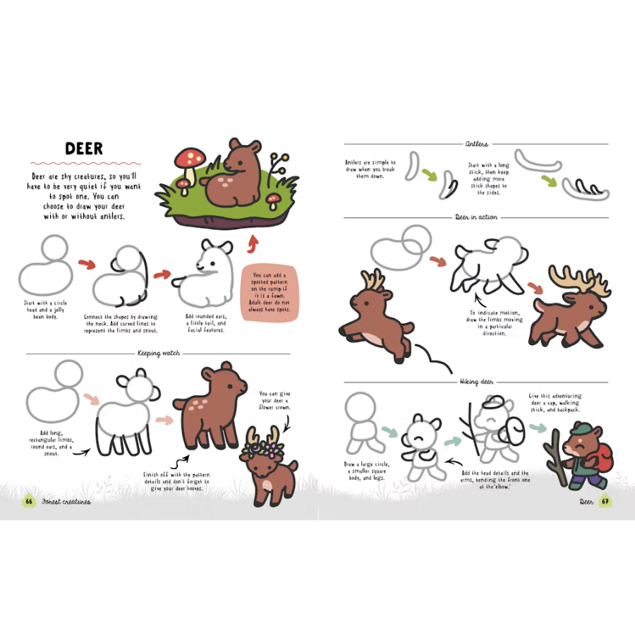 How to Draw Cute Woodland Friends