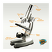 Microscope Set with Case