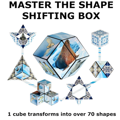 Shashibo Cube Wild Arctic