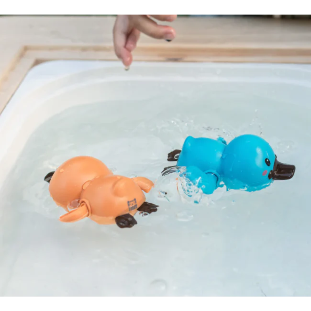 Bath Racers: Platypuses