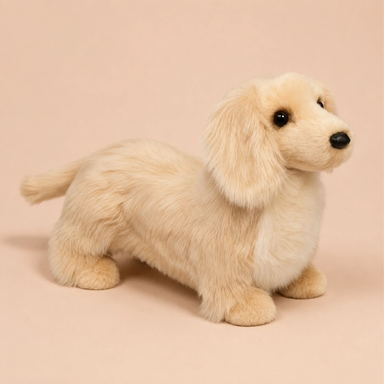 Haisley Golden Dachshund
