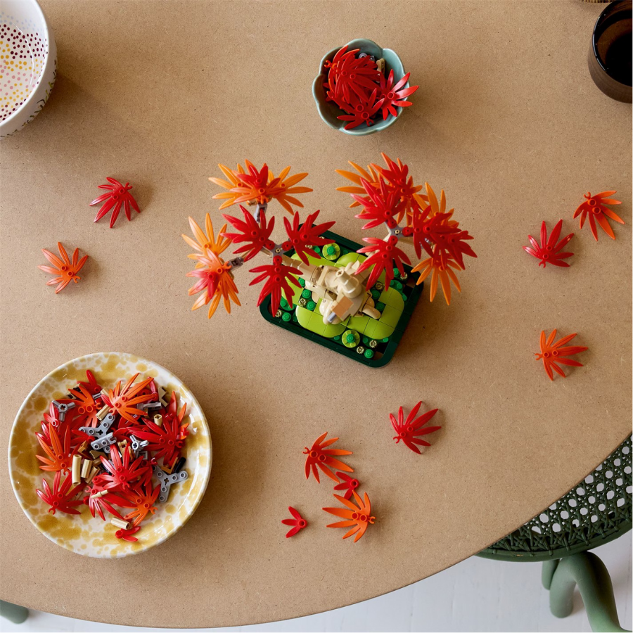 10348 Japanese Red Maple Bonsai Tree