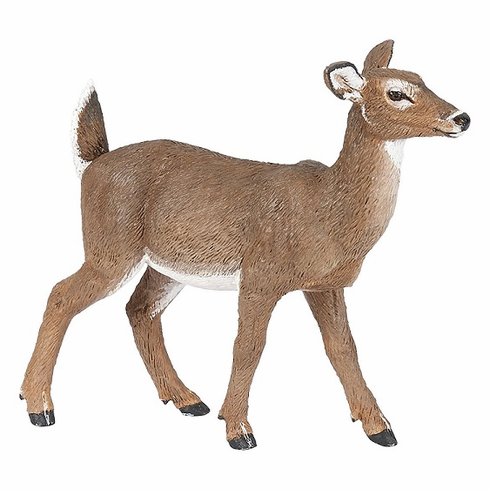 White Tailed Doe