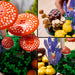 11505 LEGO&reg; Botanicals Woodland Mushrooms