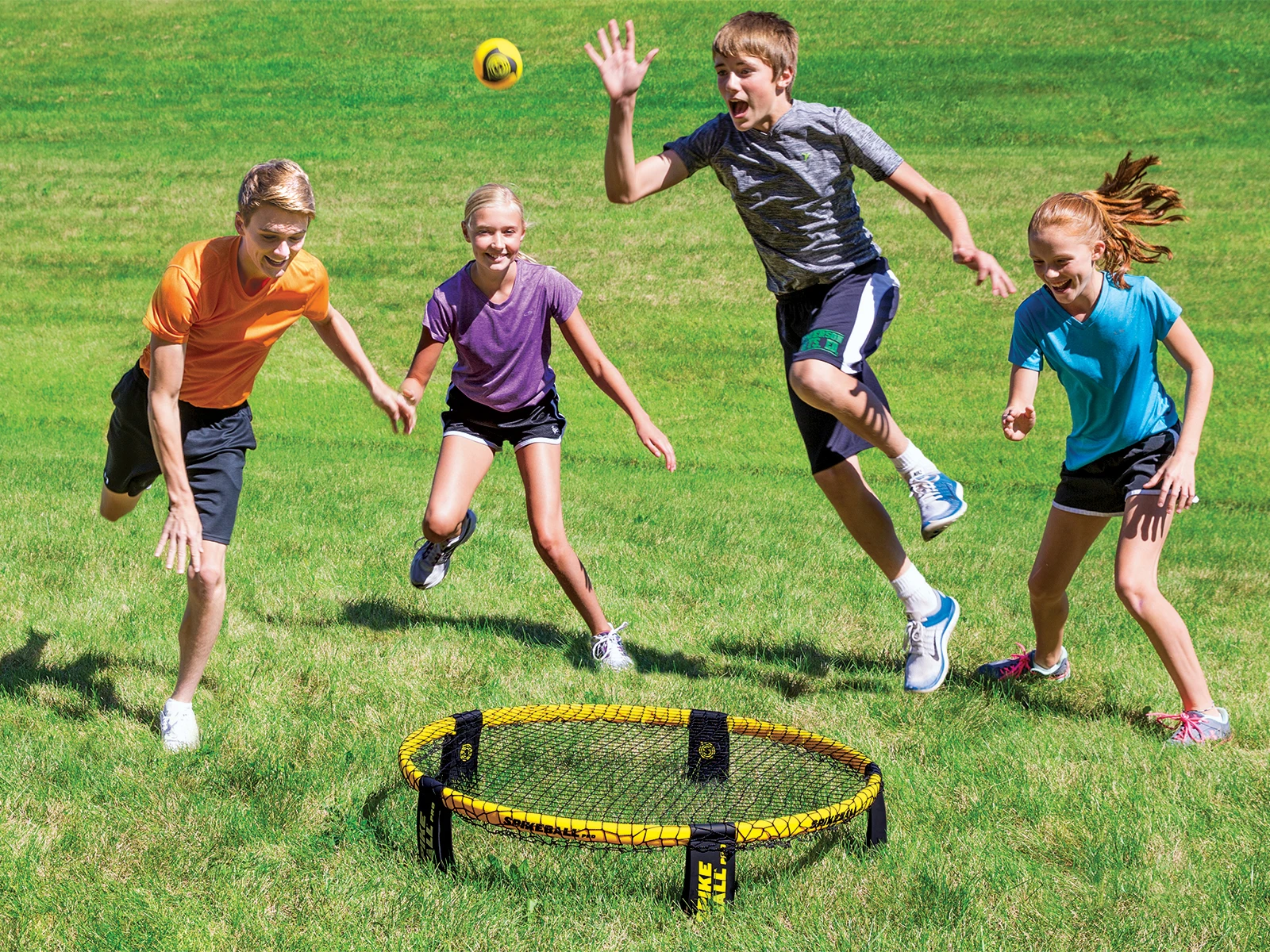 Spikeball 36in Standard Set