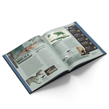 Smart Fox: Dinosaurs