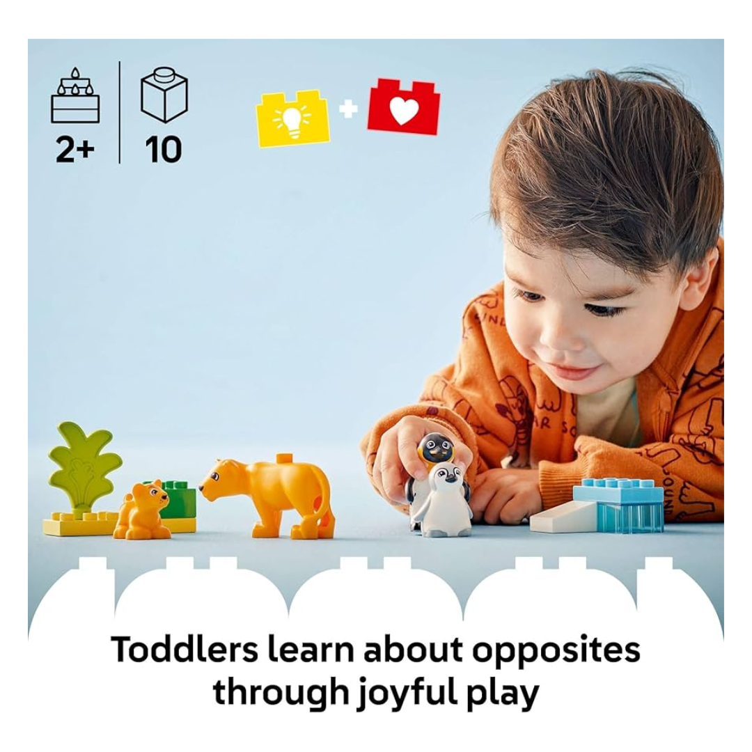 10442 Wild Animal Families: Penguins &amp; Lions