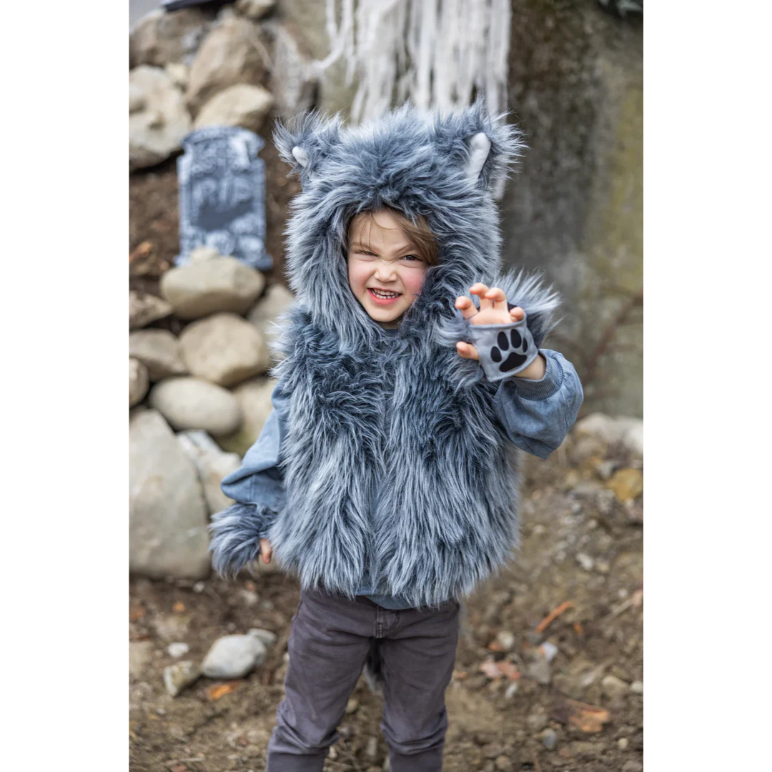 Big Bad Wolf Costume set size 3-4