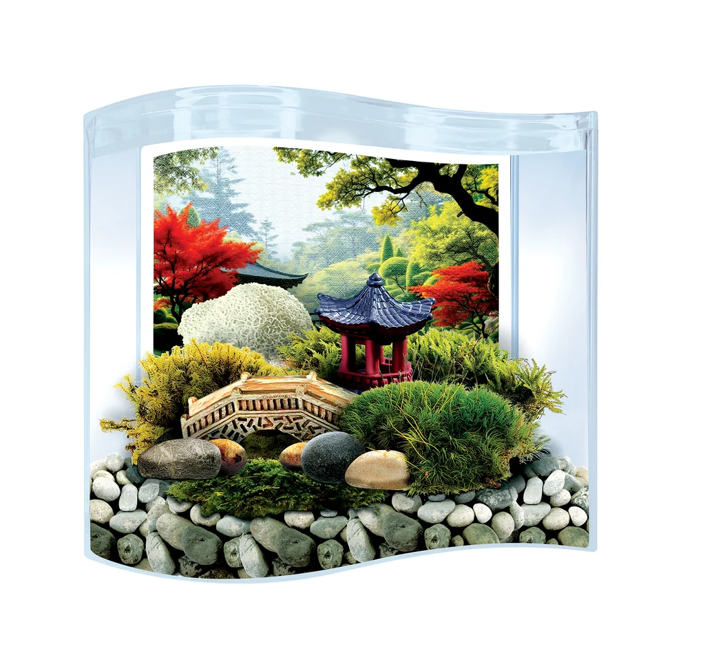 Bonsai Moss &amp; Rock Garden Wave Terrarium