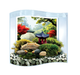 Bonsai Moss &amp; Rock Garden Wave Terrarium