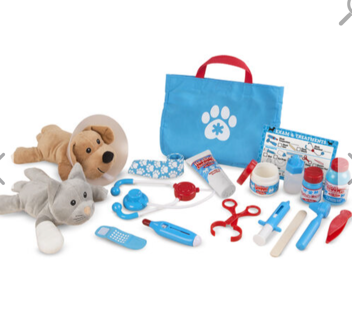 Examine &amp; Treat Pet Vet Play Set