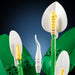 11504 LEGO&reg; Botanicals Peace Lily