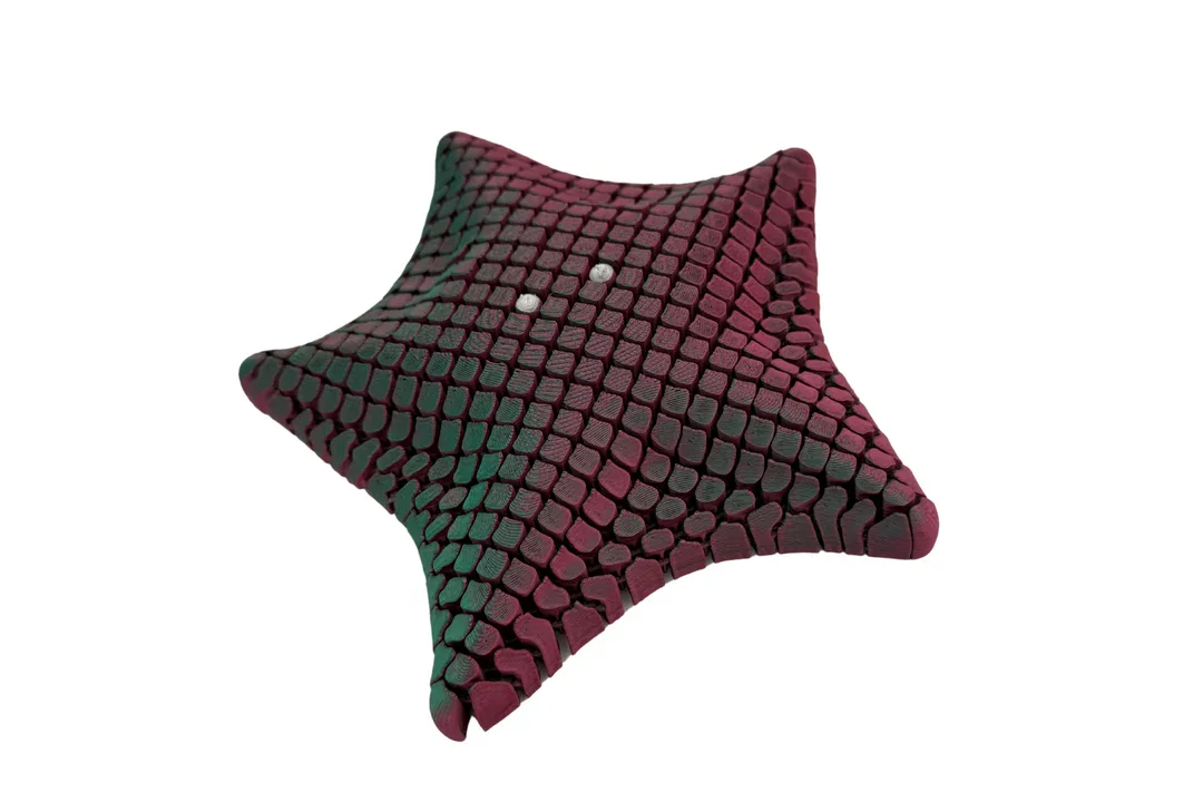 Floppy Starfish