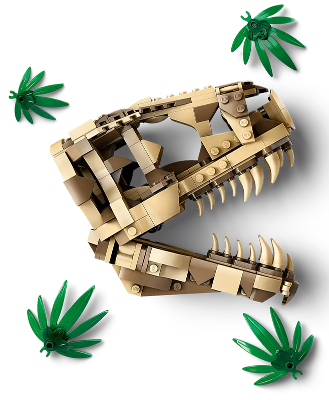 76964 Dinosaur Fossils: T Rex Skull