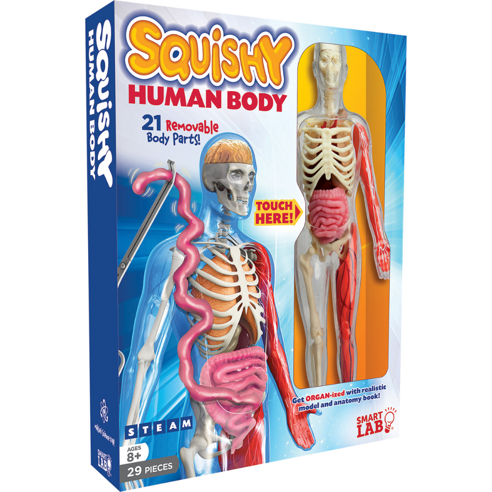 SMART LAB: Squishy Human Body