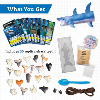 STEAM Lab Shark-tastic Teeth!