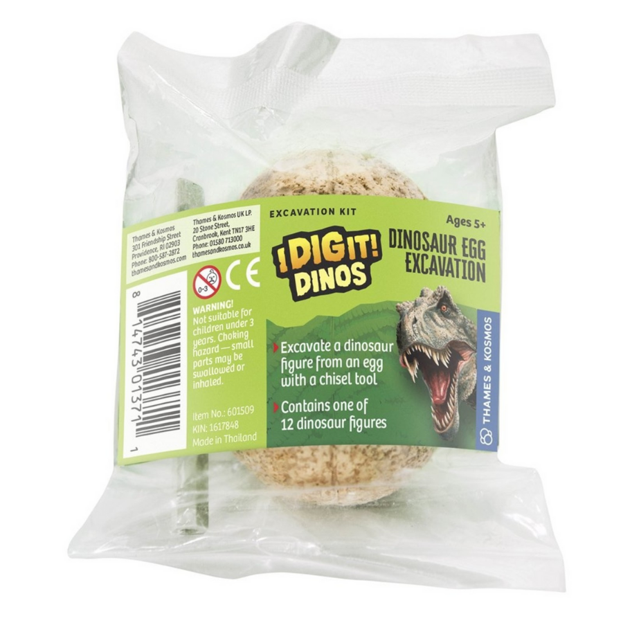 I Dig it Dinos! Dino Egg