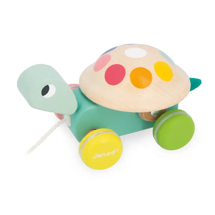 Zigolos Pull-Along Turtle
