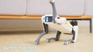 AI Dog RC