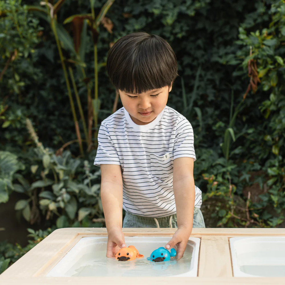 Bath Racers: Platypuses