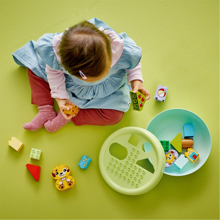 10441 Shape Sorter: Puppy House