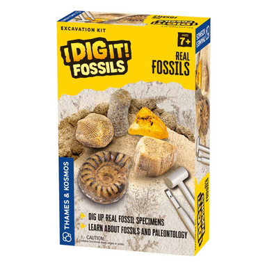 I Dig It! Fossils Real Fossils Excavation Kit