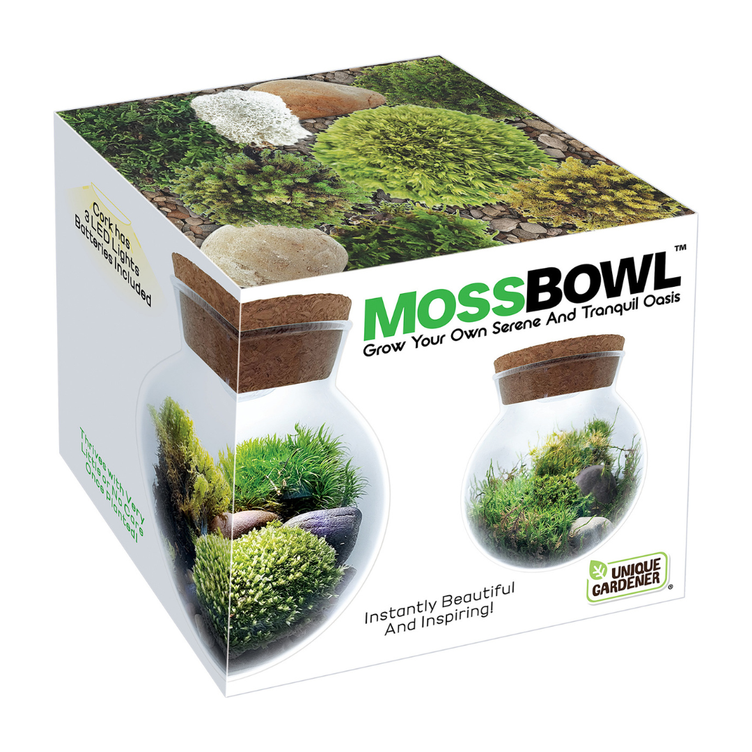 Moss Bowl - Grow Your Own Oasis