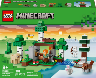 21593 LEGO&reg; Minecraft&reg; First Night Adventure