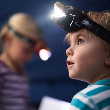 Black Bear Headlamp
