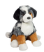 Aspen Australian Shepard