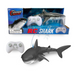 RC Shark