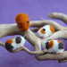 Guinea Pigs Felting Kit - Easy