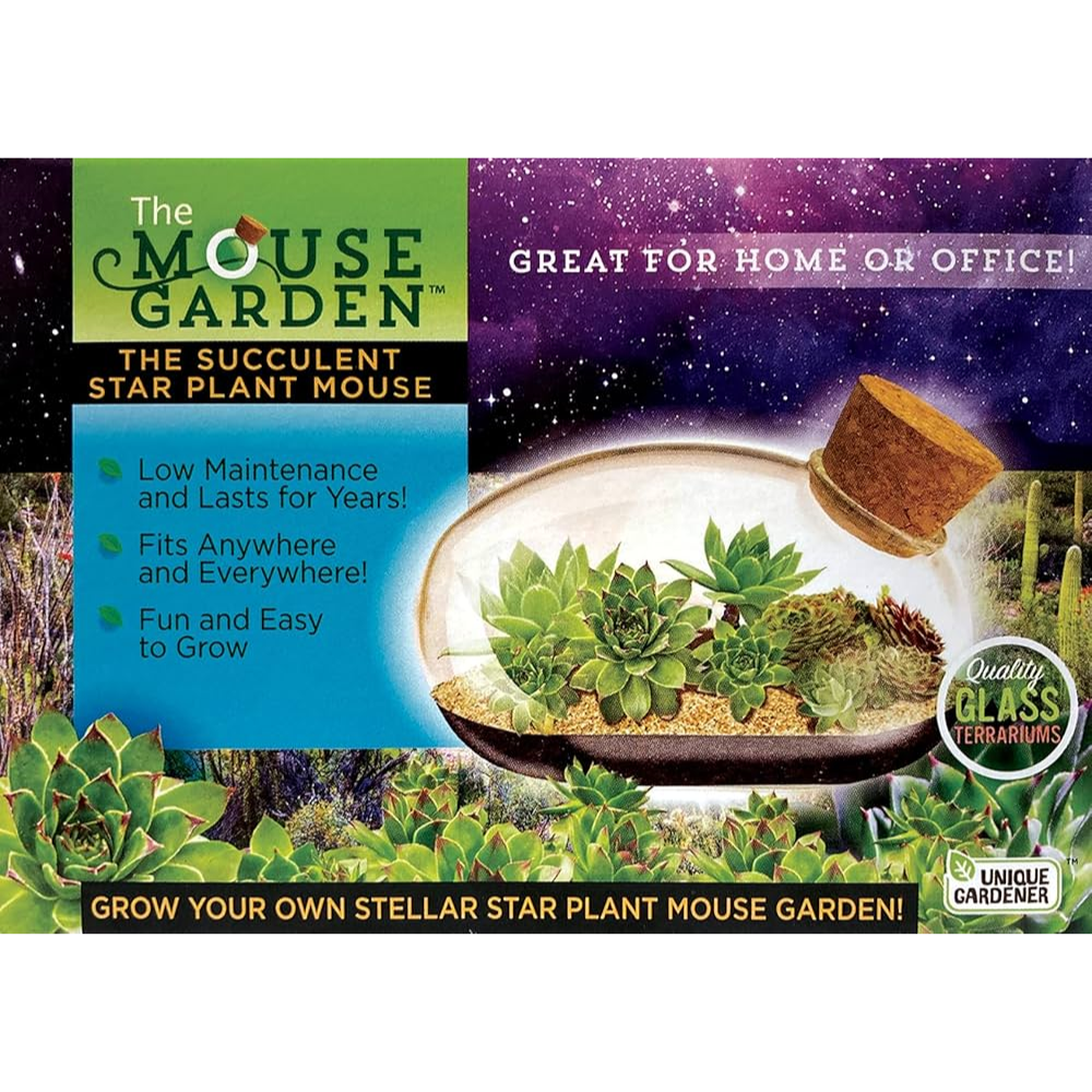 Succulent Star Mouse Terrarium