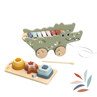 Croco Xylo &amp; Activity Pull Along