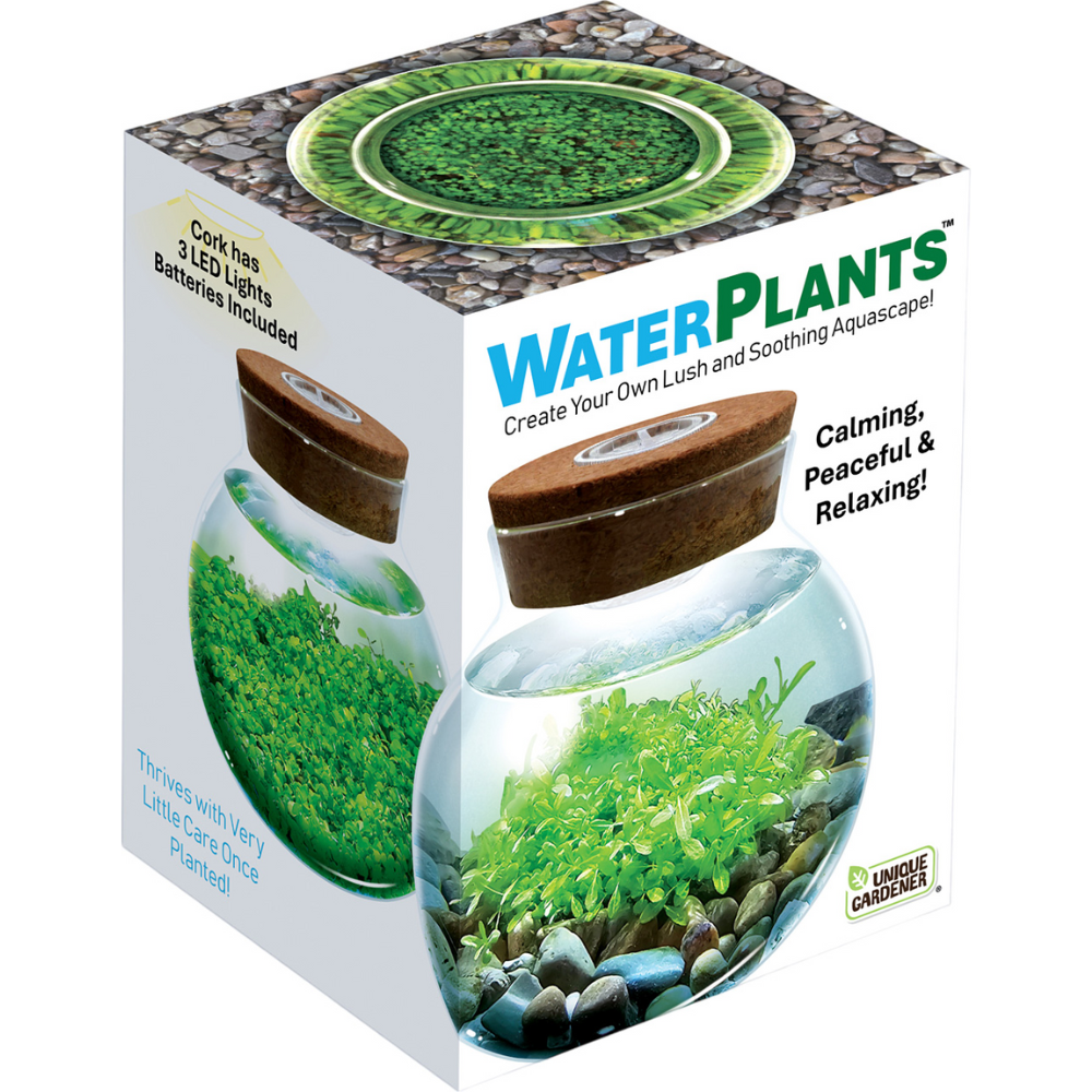 WaterPlants: Create Your Own Aquascape