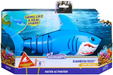 Rainbow Reef Shark