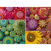 Elspeth McLean: Mandala Blooms 500pc Puzzle