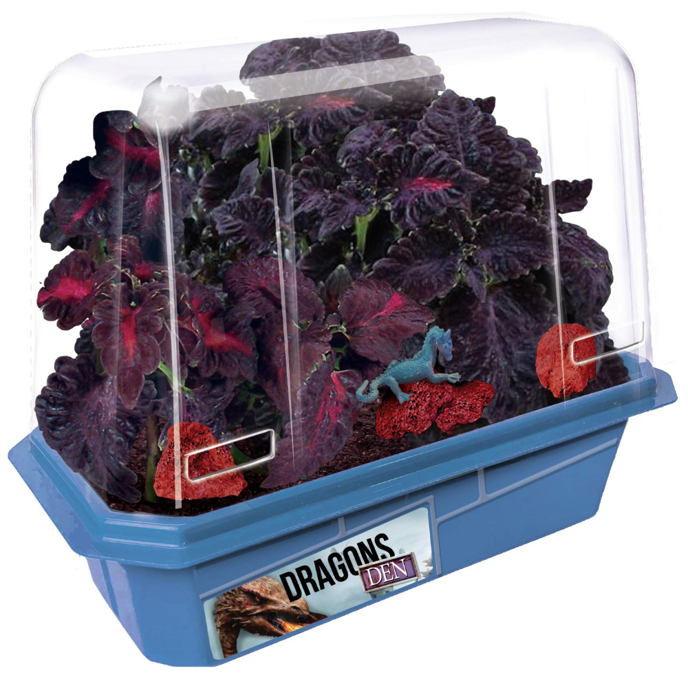 Dragon's Den Terrarium