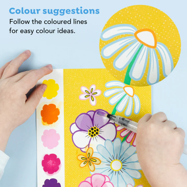 Paint a Picture Set: Butterflies &amp; Flowers